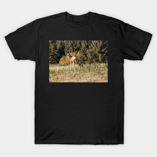 A deer with Antlers T-Shirt